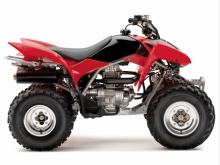 Фото Honda TRX250X  №1